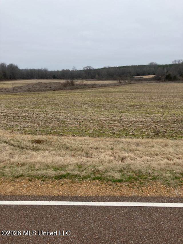 9002 Lot 2 Hudson Road - Photo 1