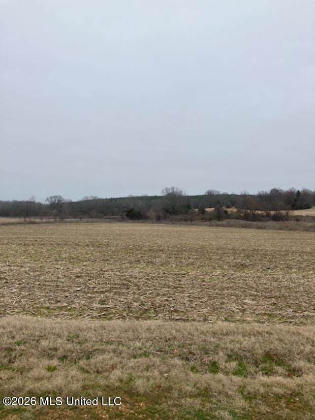 9002 Lot 3 Hudson Road - Photo 1