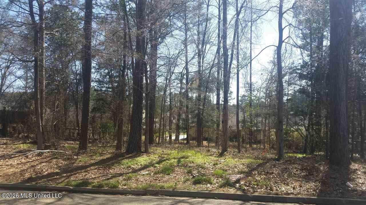 208 Breezy Hill Drive - Photo 1