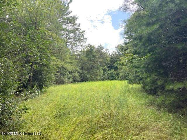 0 Highway 439 - Photo 1