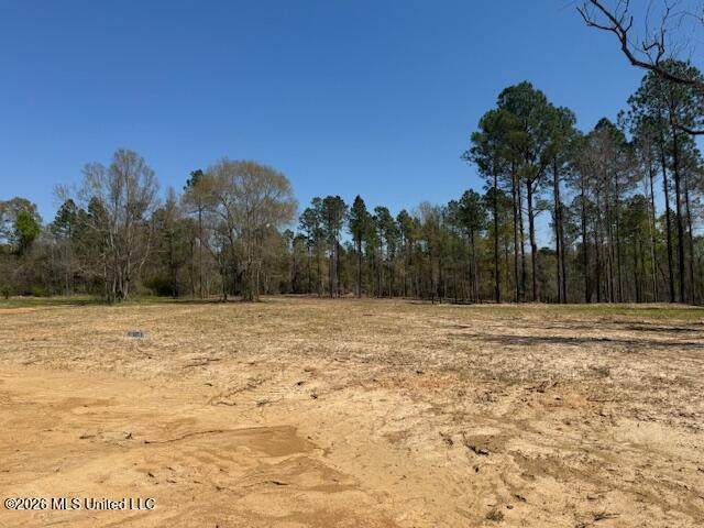 Lot 7 Oakley Lane - Photo 1
