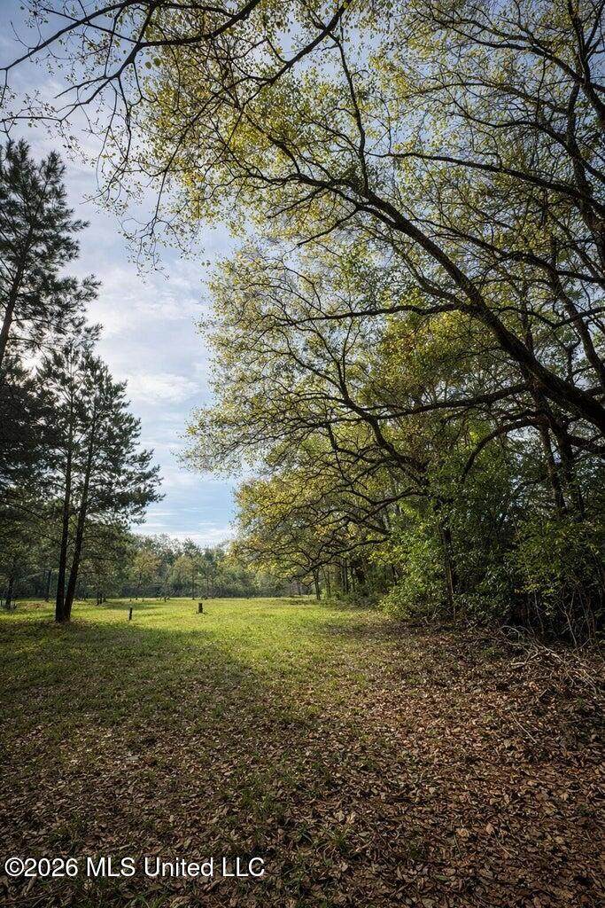 14 Acres F Z Goss Road - Photo 1