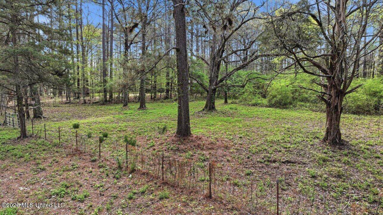 0 Harrisville Braxton Road - Photo 1