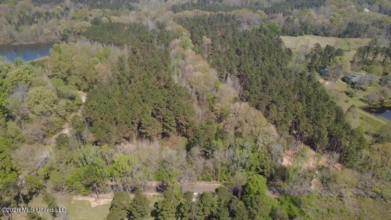 1256 Barnes Rd Road - Photo 1