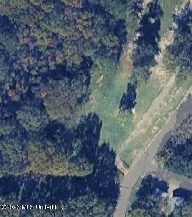 0 Conestoga Road - Photo 1