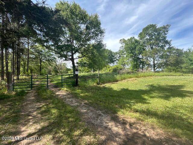  Mount Zion Lane - Photo 1