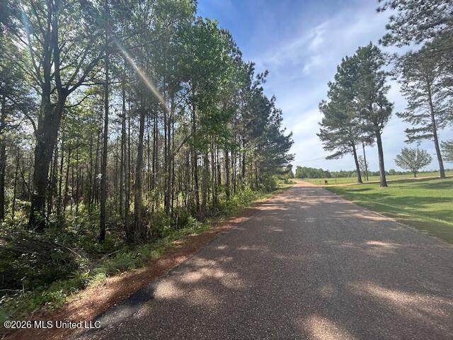  Smith Ferry Road - Photo 1