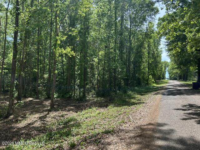 Parcel 3 Stovall Lane - Photo 1