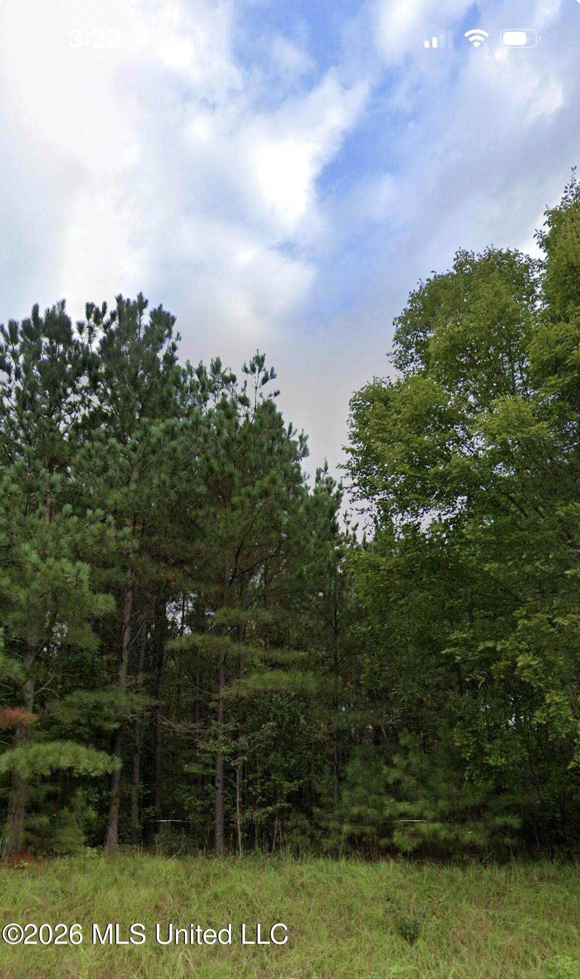 950 Hazelwood Drive - Photo 1