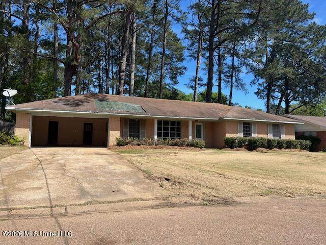 1132 Verbena Street - Photo 1