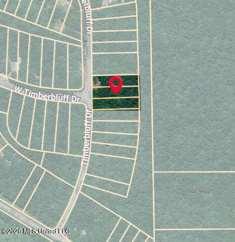  Timber Bluff Drive - Photo 1