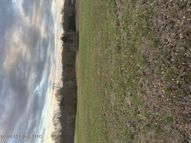 0 Meadow Oaks Lane - Photo 1