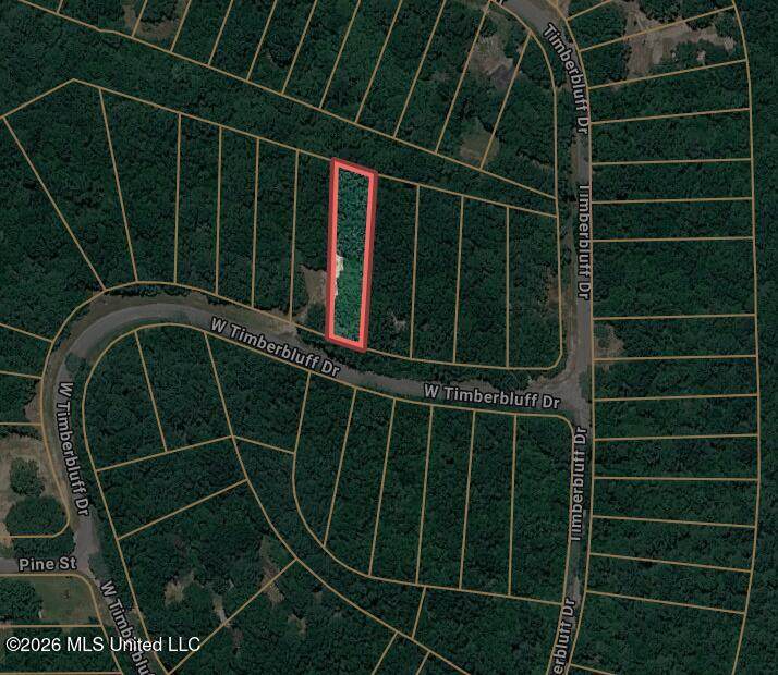 00 Timber Bluff Drive - Photo 1