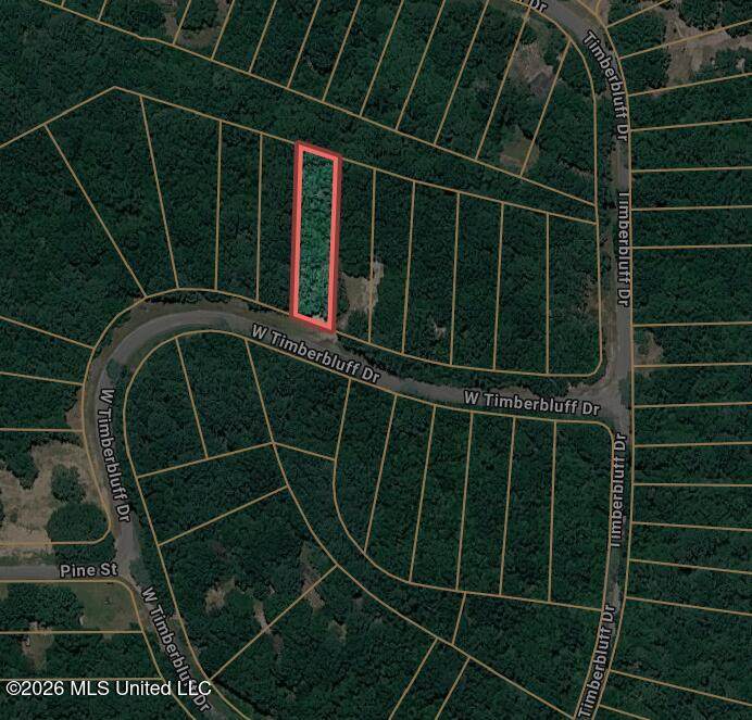 000 Timber Bluff Drive - Photo 1