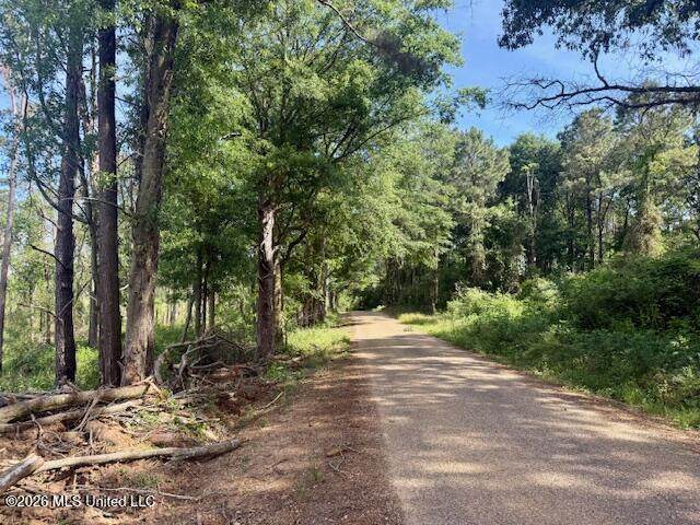  J W Miller Road - Photo 1