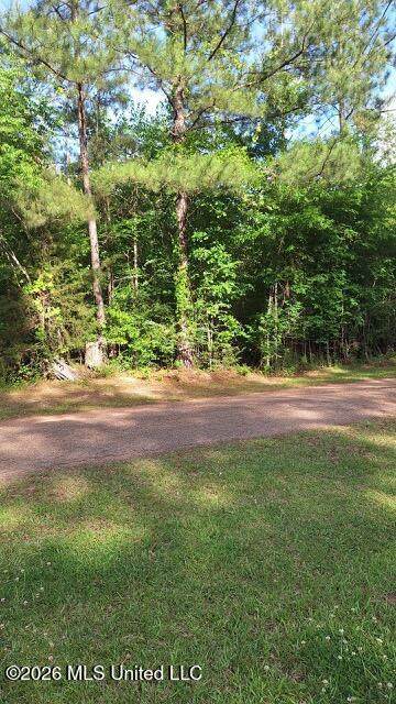 000 Smith Lane - Photo 1