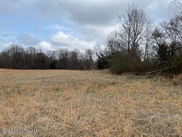 22 Willie Hibbler Road - Photo 1