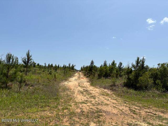  Wire Road - Photo 1