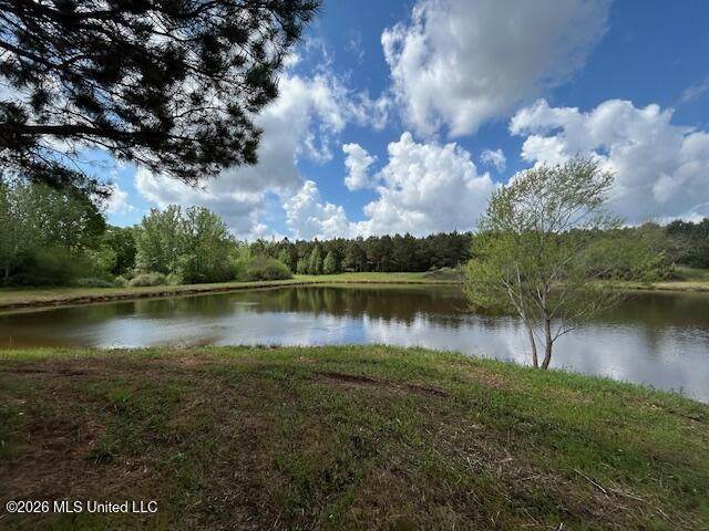  Mississippi 583 - Photo 1