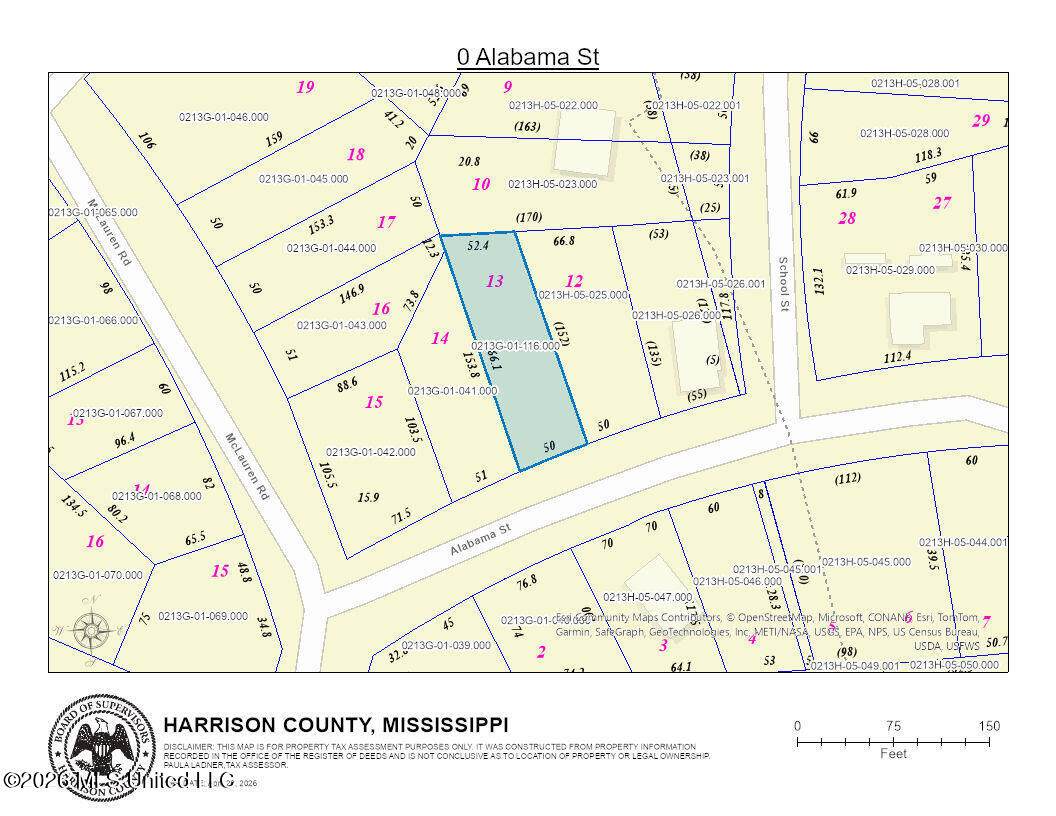 0 Alabama Street - Photo 1