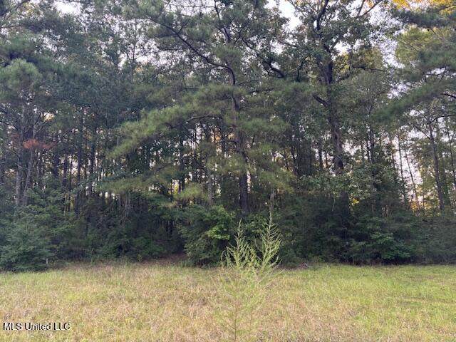 Lot #3 Park Place - Photo 1