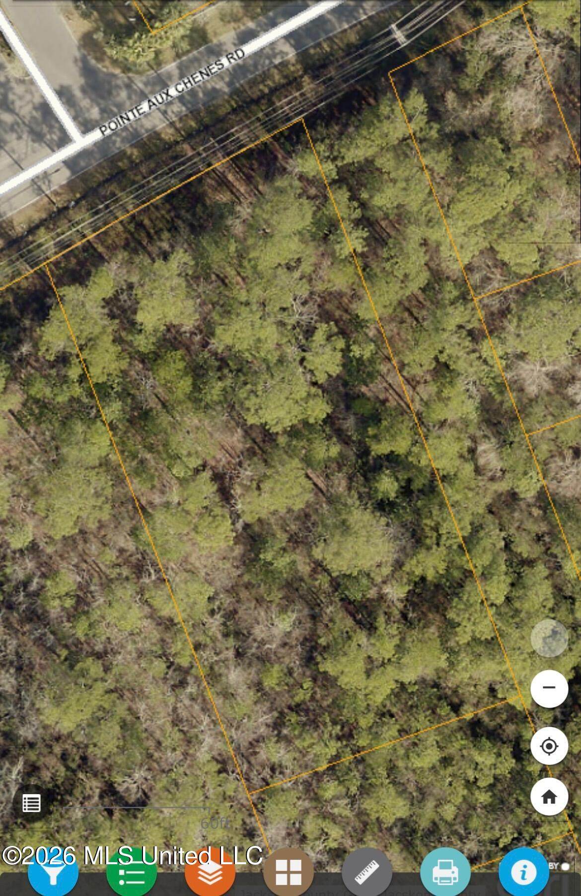  Pointe Aux Chenes Road - Photo 1