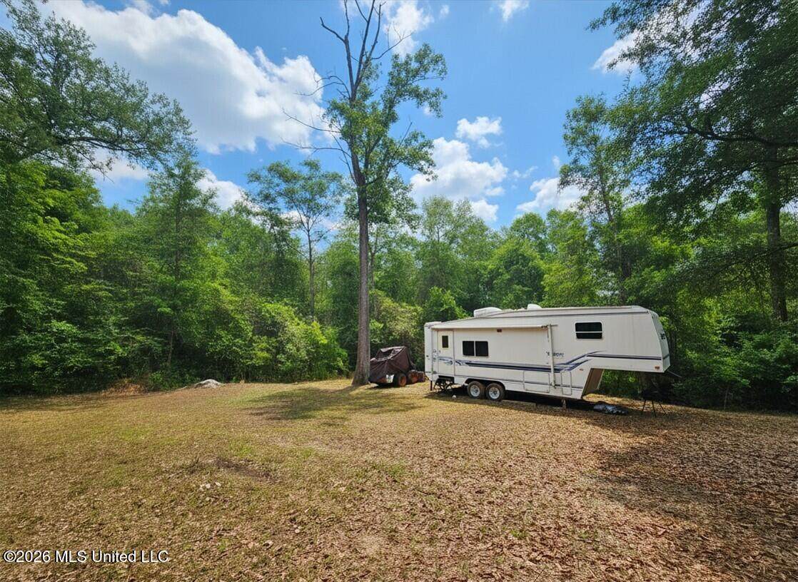 222 Lavelle Odom Road - Photo 1