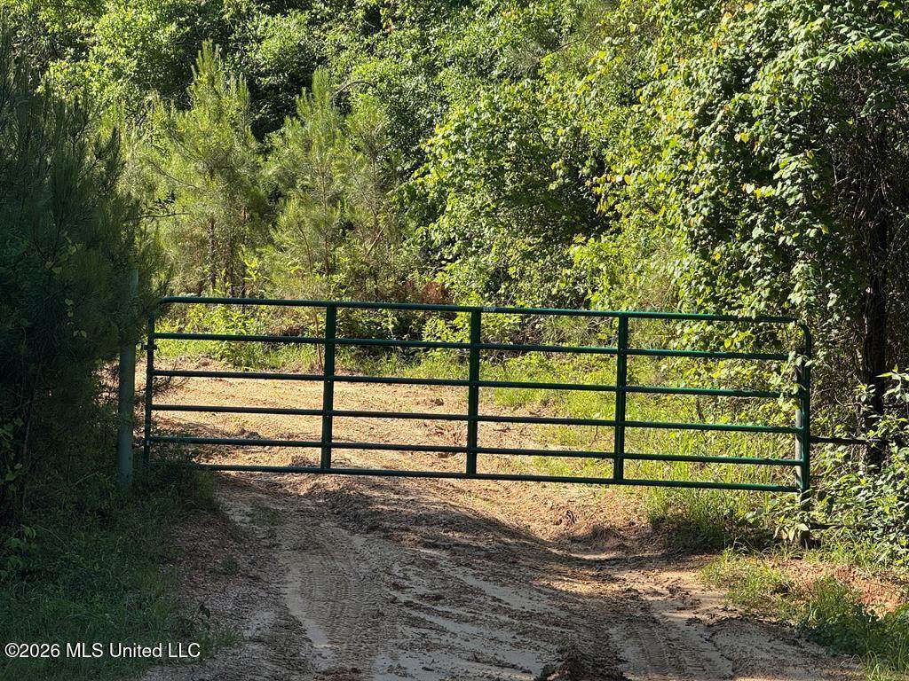  Hwy 43 - Photo 1