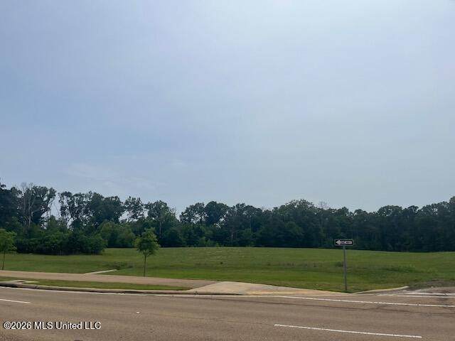  Colony Park Boulevard - Photo 1