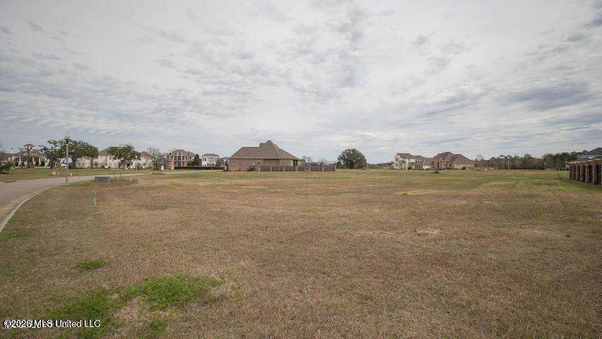 403 Goose Pointe Boulevard - Photo 1