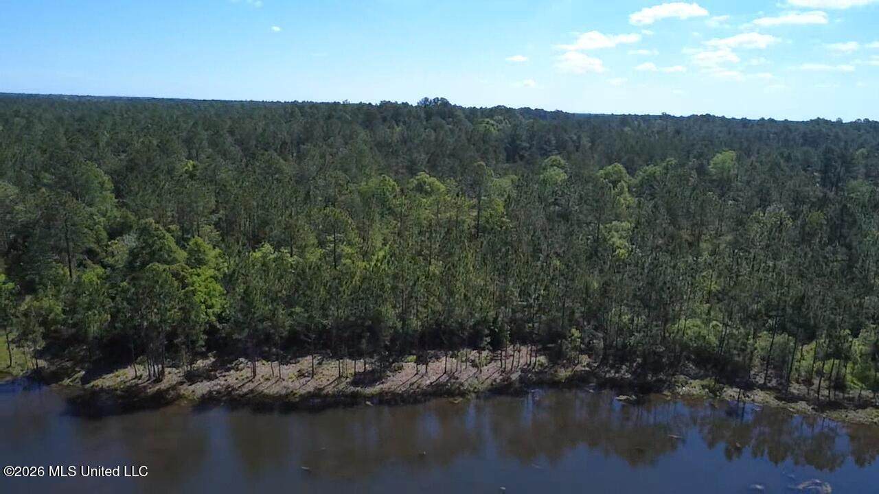 Lot 5a Road 311 - Photo 1
