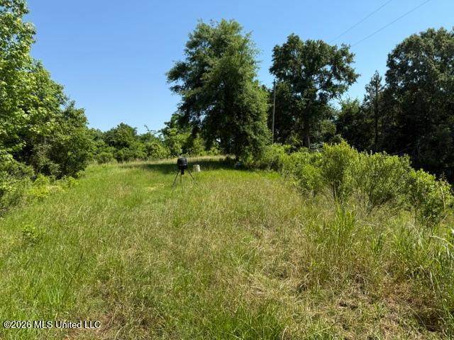 53 Cliffs Plantation Road - Photo 1