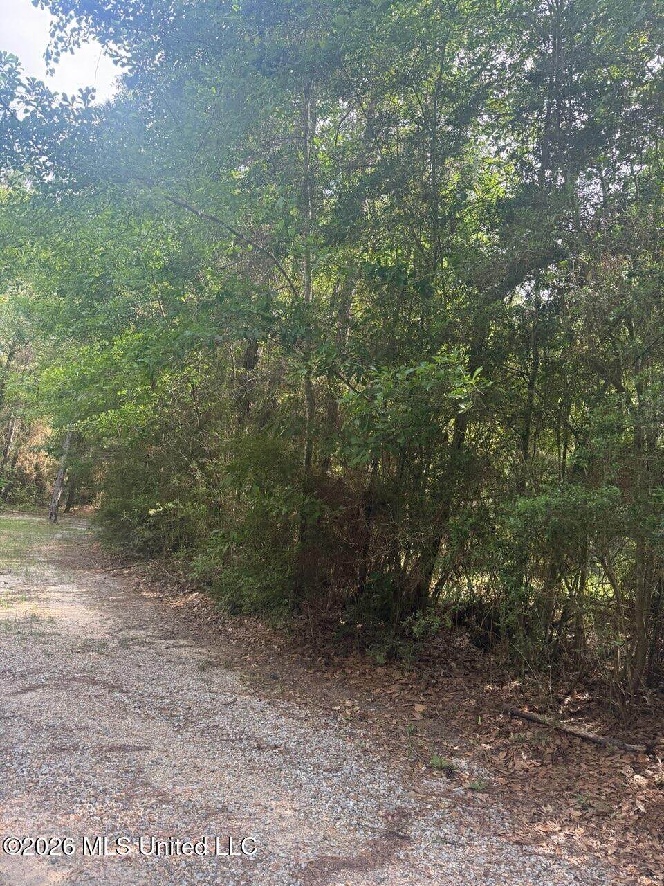 0 16th Section Road - Photo 1
