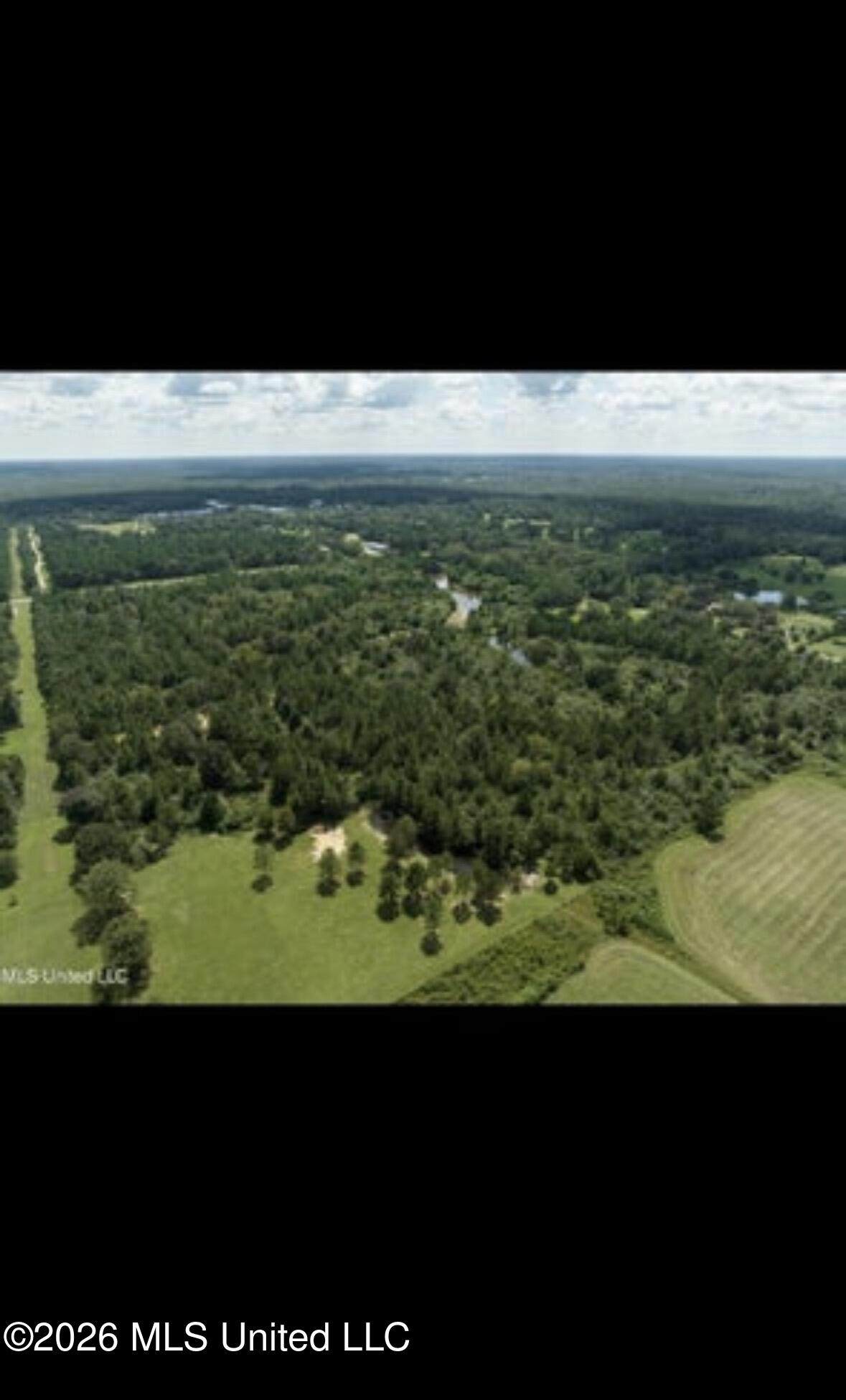 24094 Rester Road - Photo 1