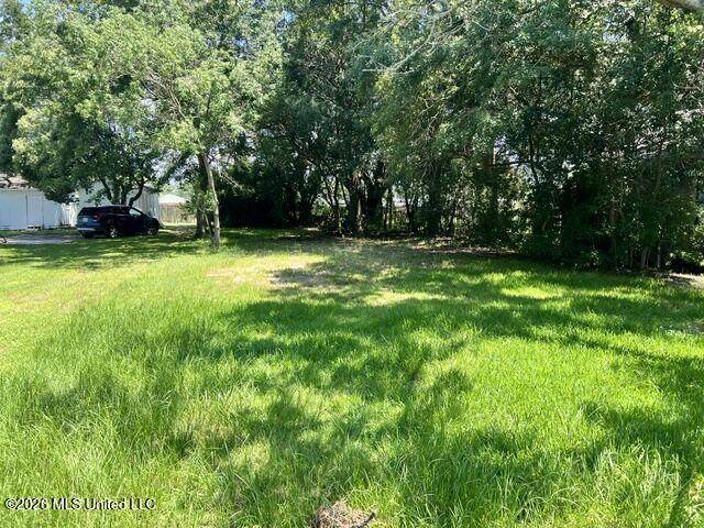 811 Lafayette Avenue - Photo 1