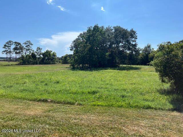 223 Boney Avenue - Photo 1