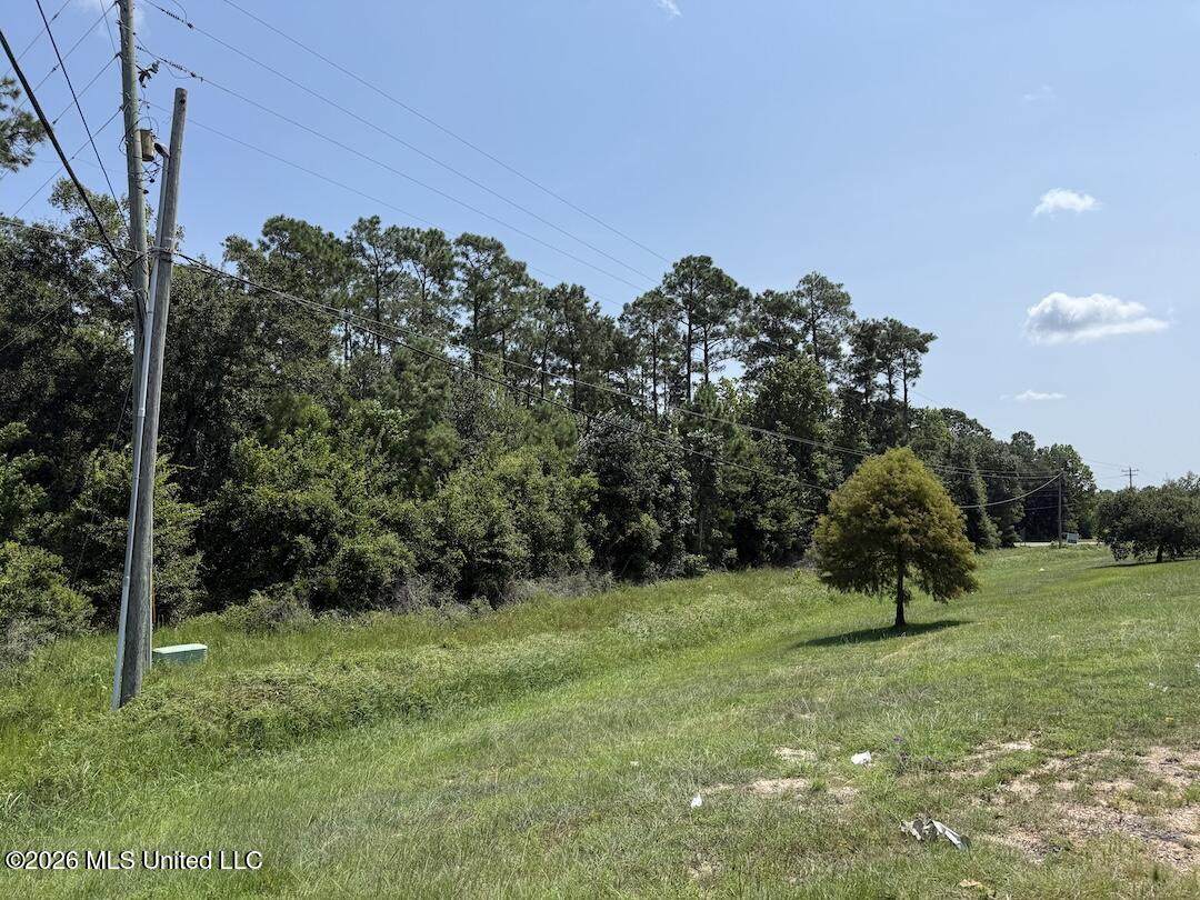  Old Nicholson Road - Photo 1