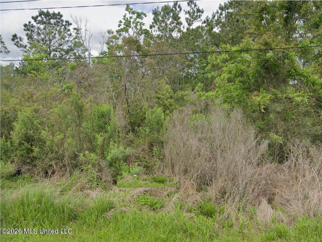 10051 Bayou View Drive - Photo 1