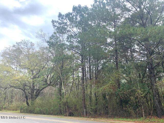 2 Acres Martin Bluff Road - Photo 1