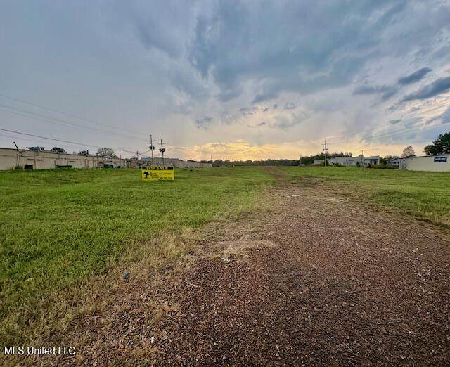 0 Highway 51 North - Photo 1