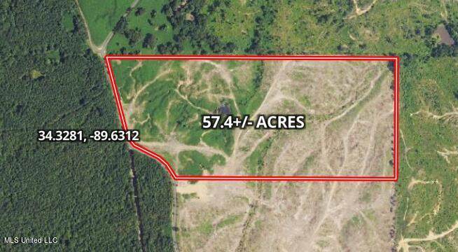  Co Rd 309 - Photo 1