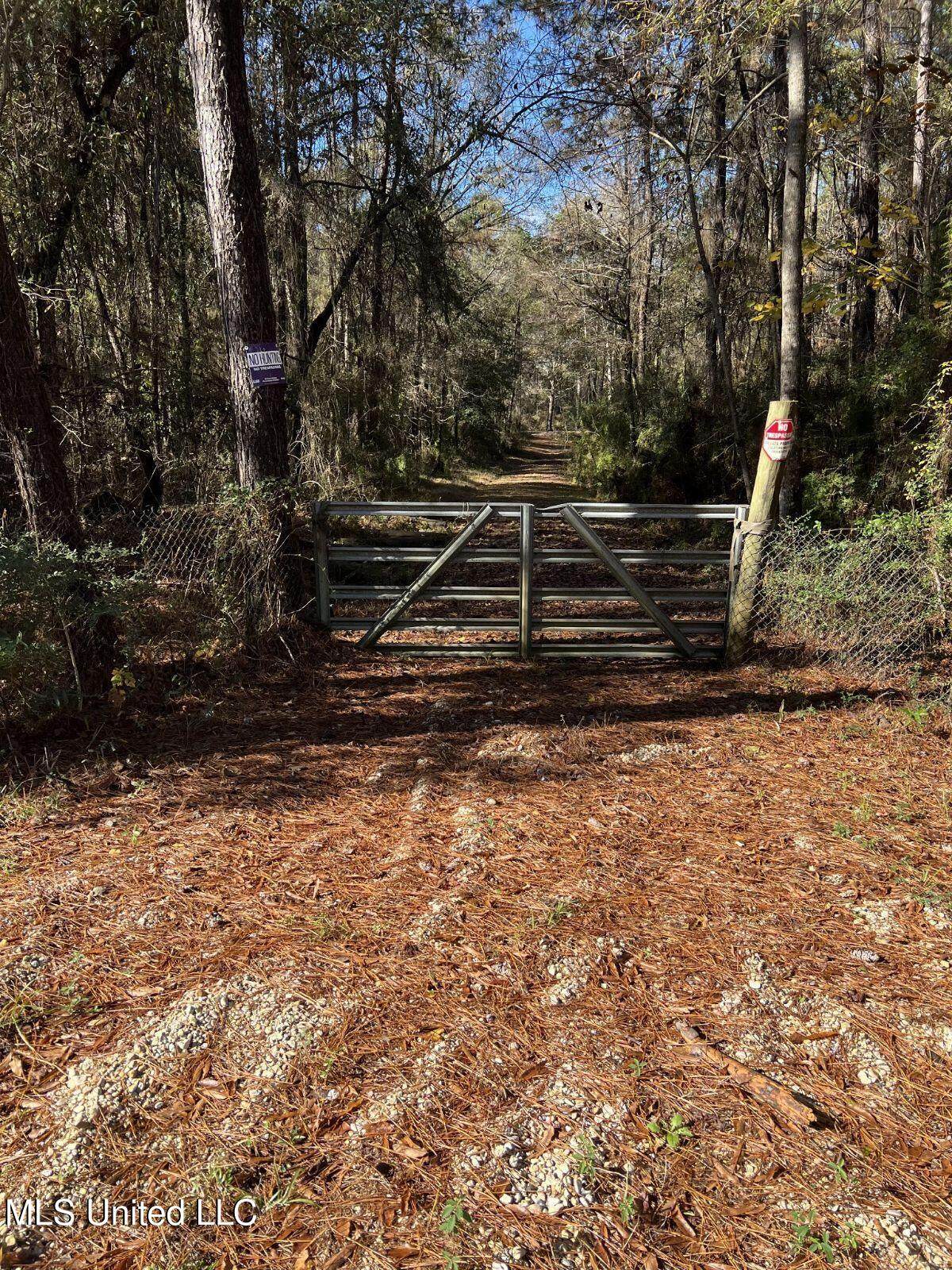 Nhn George Wise Road - Photo 1