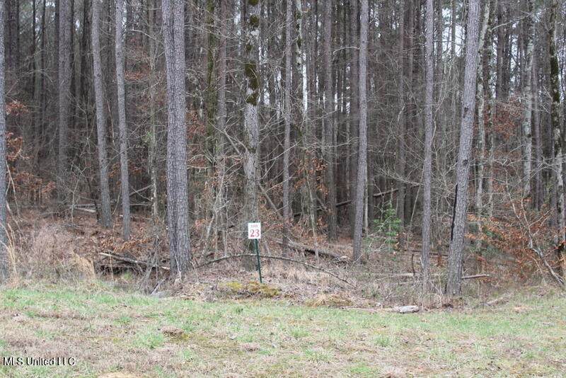 13319 Ella Lane - Photo 1