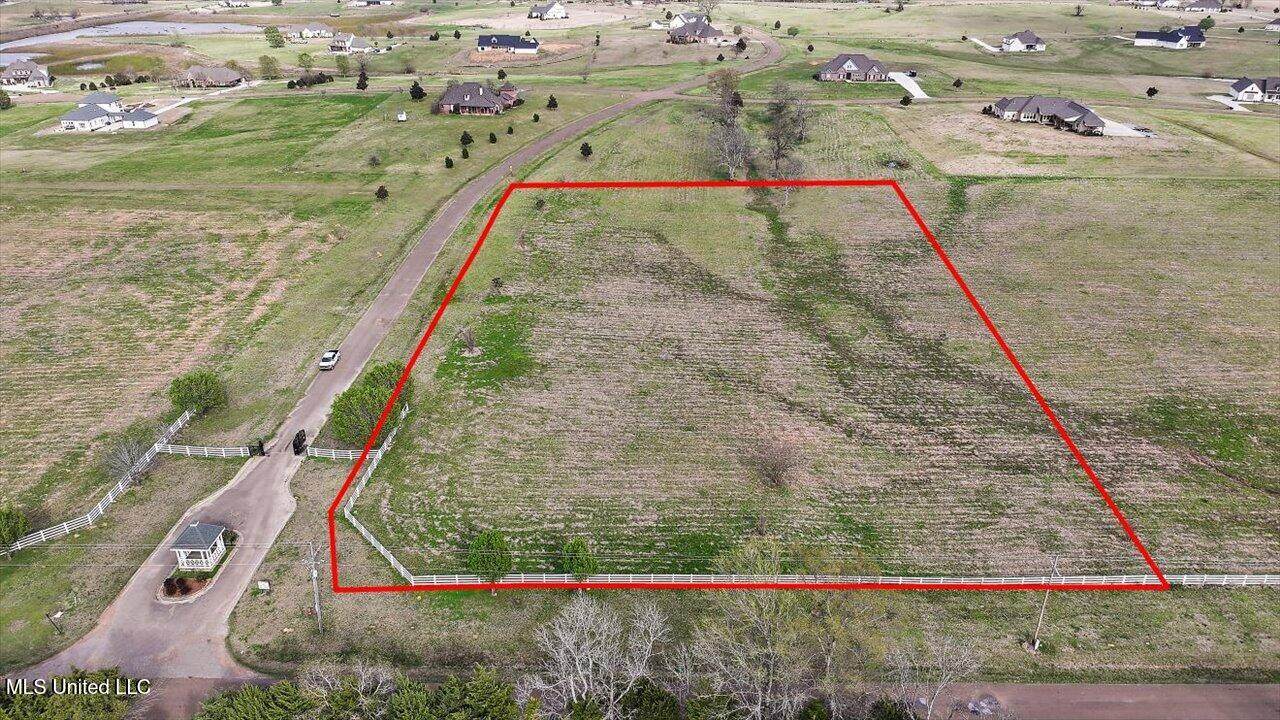 0 Cane Creek Road - Photo 1