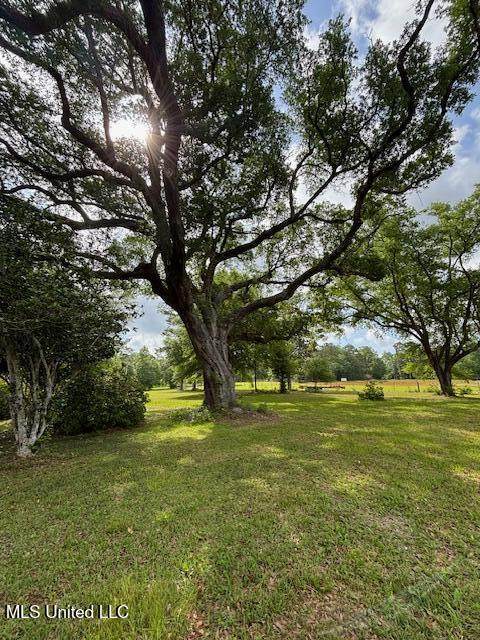 15521 Old River Road - Photo 1