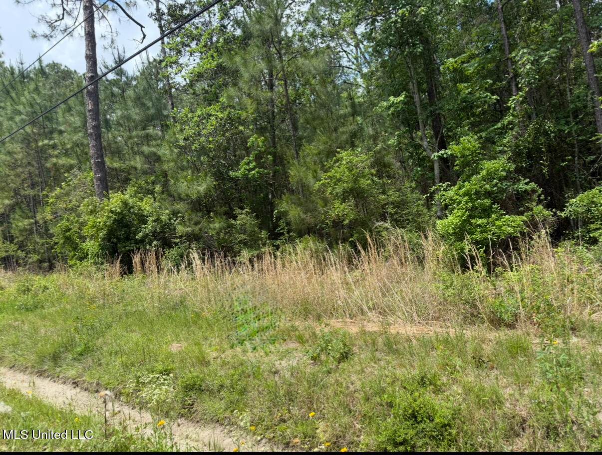  Adams Street - Photo 1