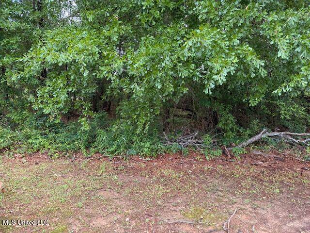 000 Norwood/Old Enoch Road - Photo 1