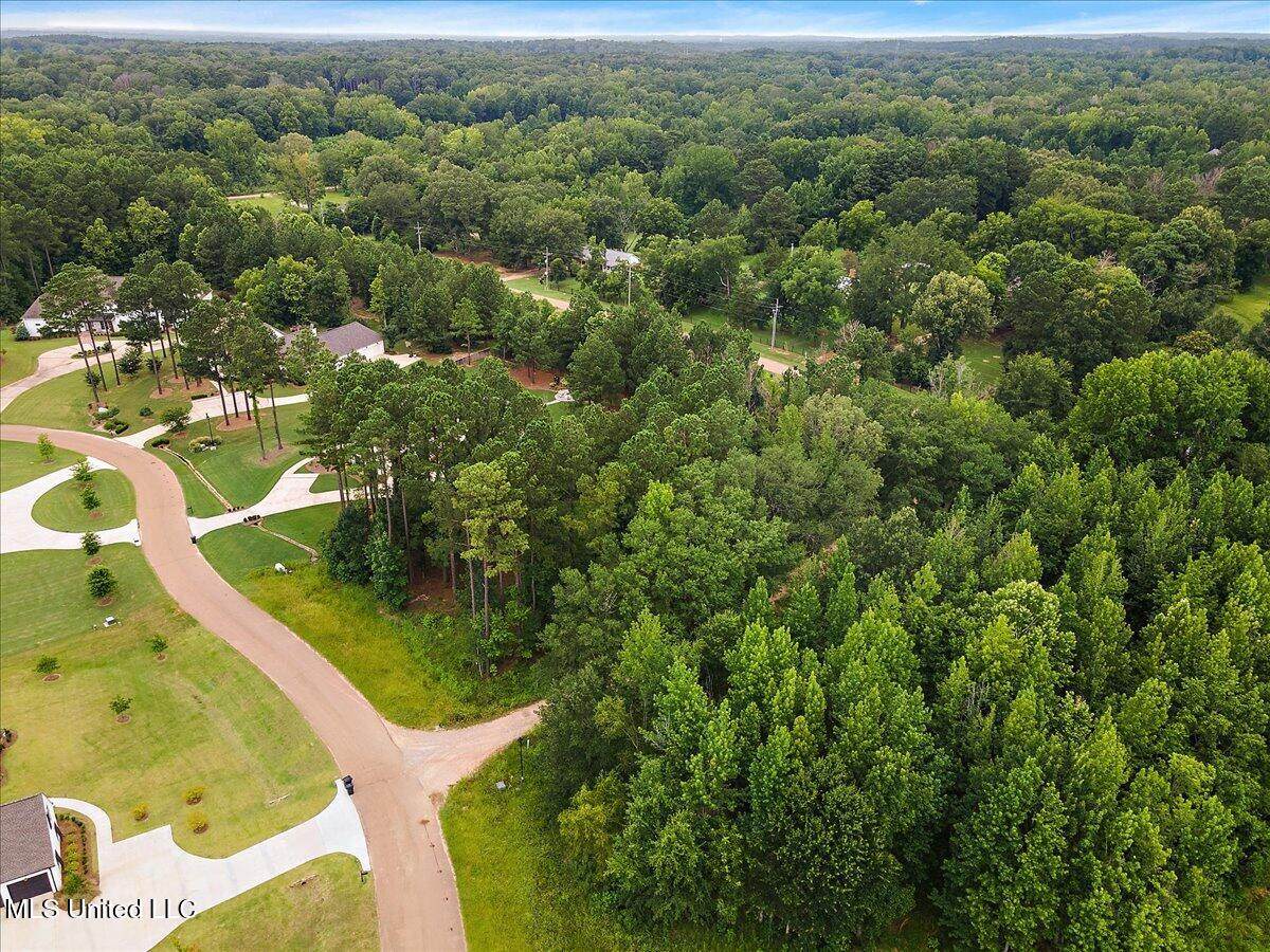112 Hidden Glades - Photo 1
