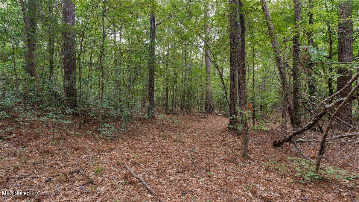 1270 Hwy 469 - Photo 1