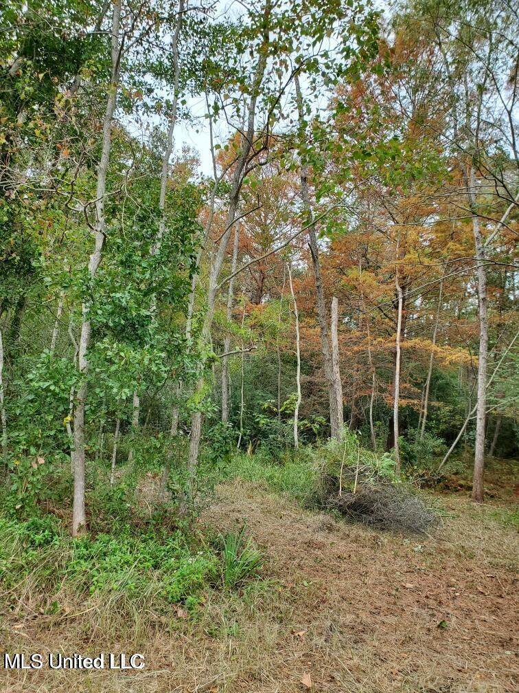 0 Sandpiper - Photo 1